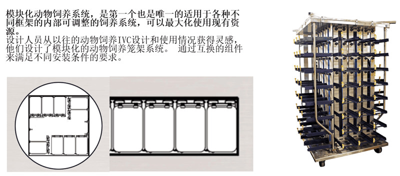 动物饲养系统